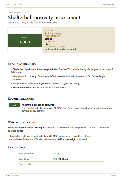 First page of a sample consultant-style PDF report showing porosity 44.3%, wind protection rating, and recommendations